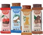 Skout Organic Protein Bar in 4 Flavors